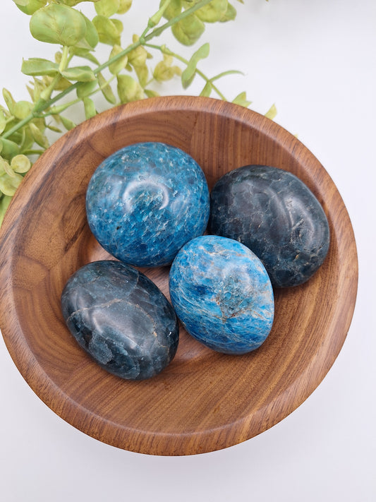 Polished Blue Apatite palm stone with deep blue hues and natural patterns. A smooth, hand-sized crystal known for enhancing focus, intuition, and communication. Ideal for meditation and energy work.