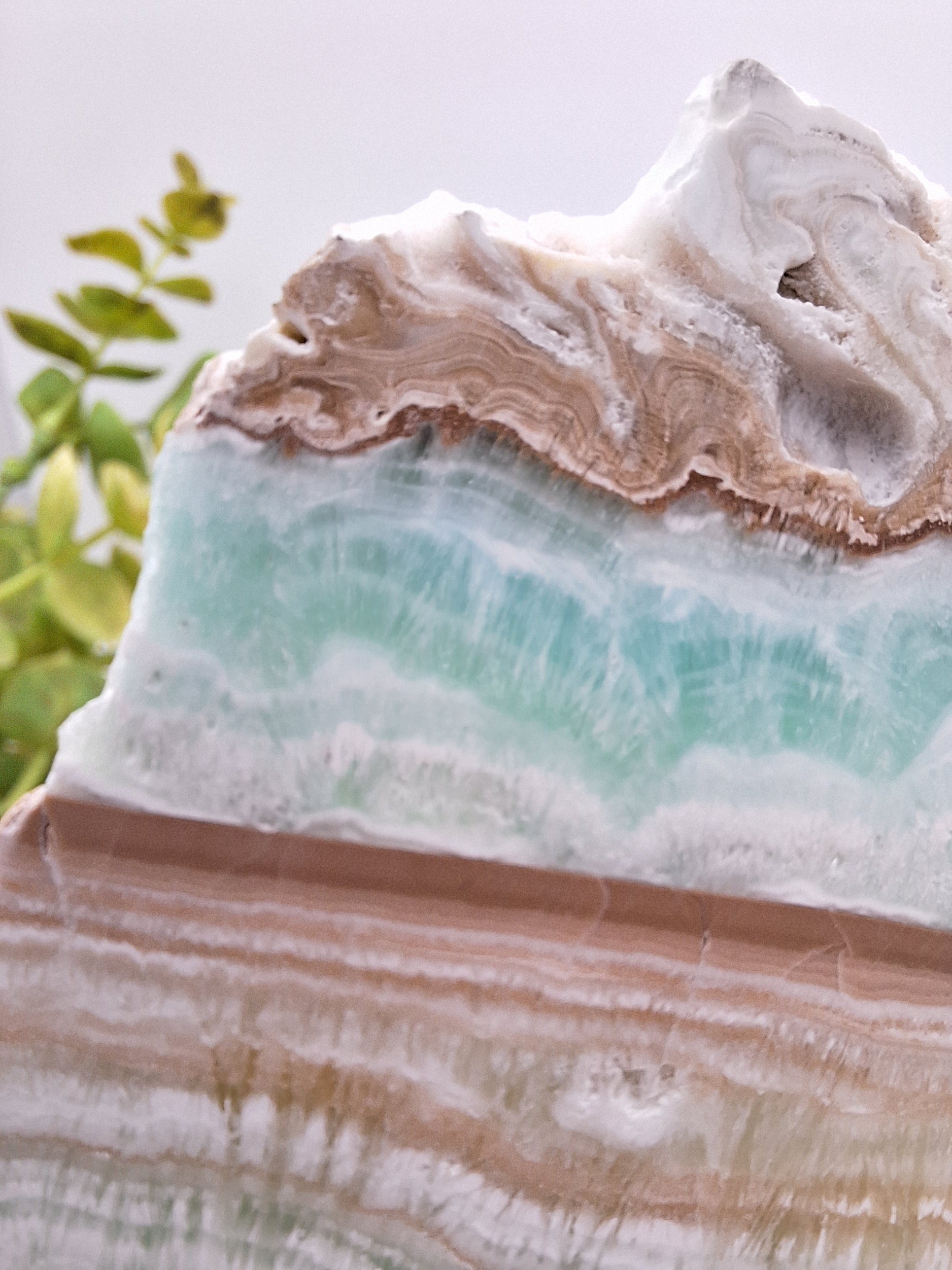 Close-up of a Caribbean Calcite polished slab, revealing its intricate patterns and soothing blue and white hues