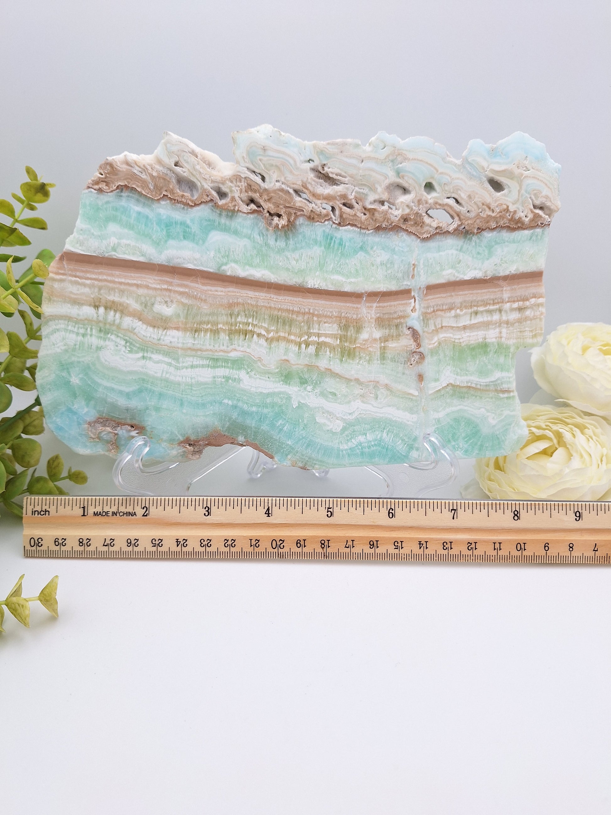 Caribbean Calcite polished slab with a ruler along the bottom edge for size reference, highlighting its smooth surface and layered coloration.