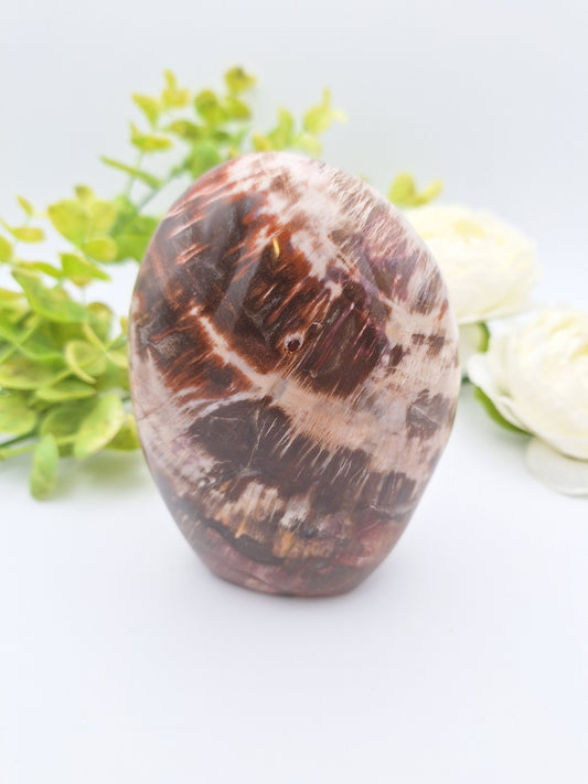 Polished Petrified Wood freeform standing upright, displaying rich earth tones with striking red inclusions.