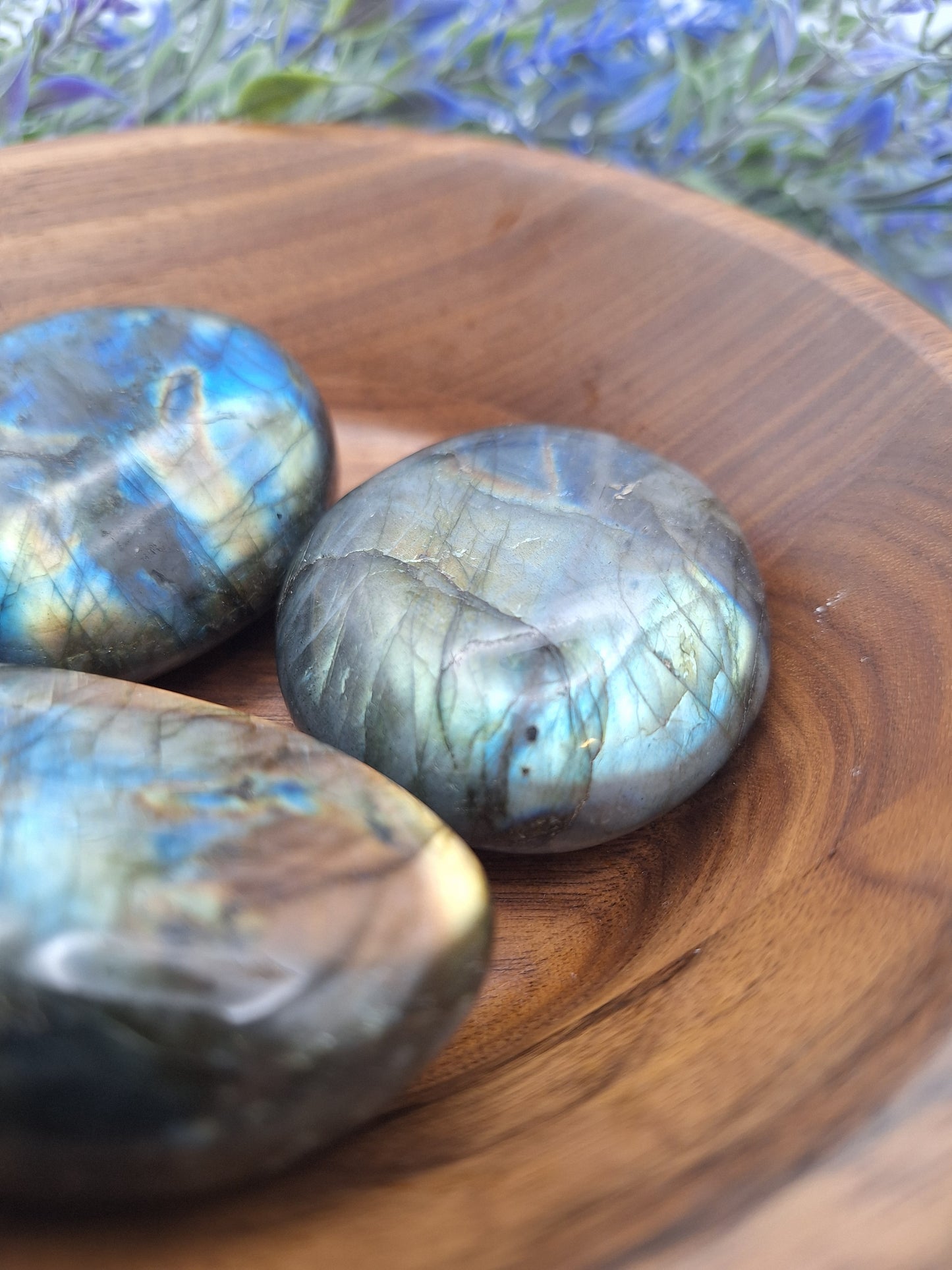 Three Labradorite palm stones showing bright flashes of blue, gold, and green, highlighting their natural labradorescence.