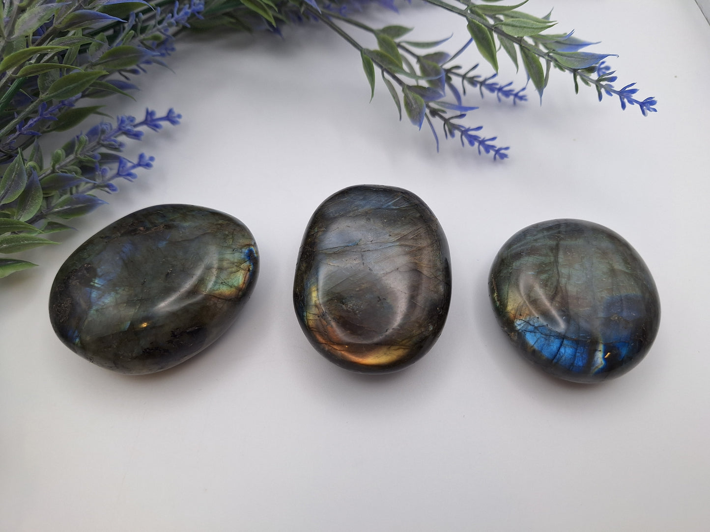 A group of three Labradorite palm stones, polished smooth with a natural shimmer, perfect for intuition and energy work.