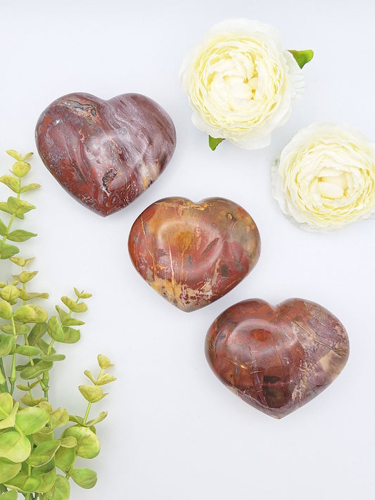 Three large Petrified Wood polished hearts arranged in a row, displaying their unique fossilized patterns and warm earth tones.