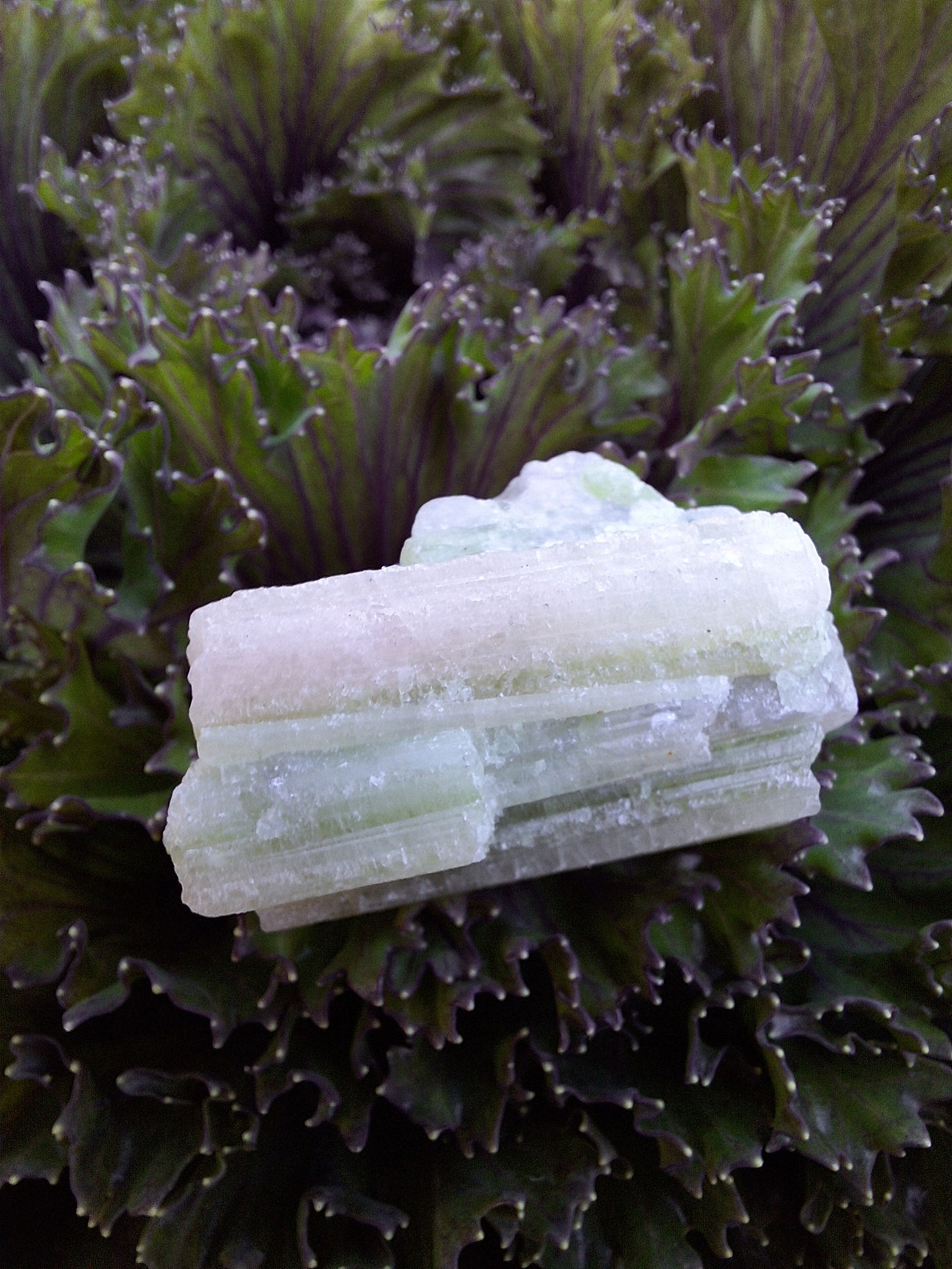 Pink & Green Tourmaline