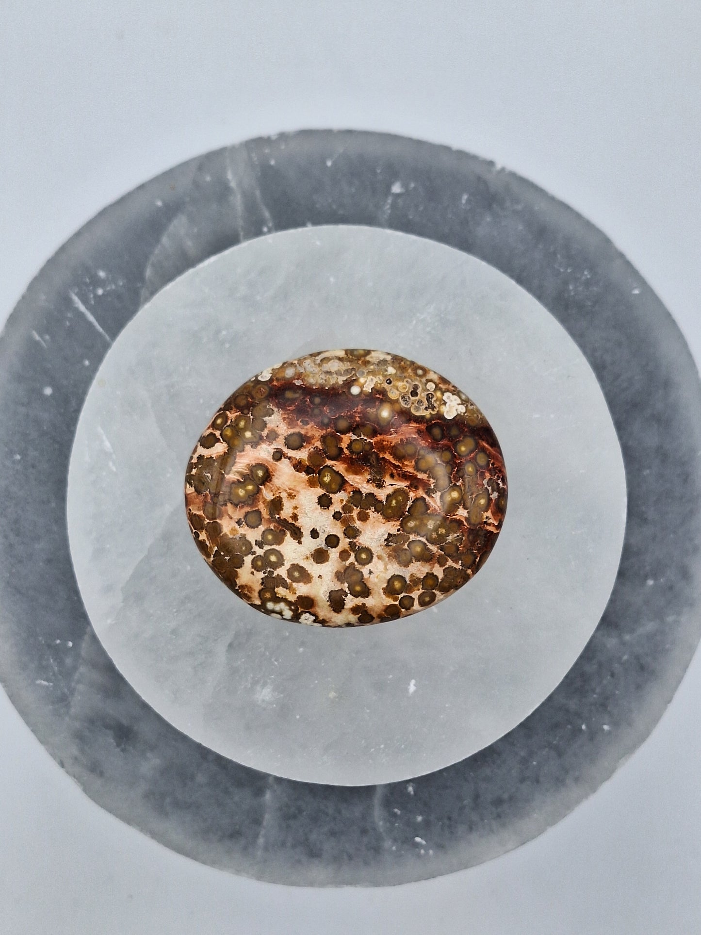 Ocean Jasper Gallet