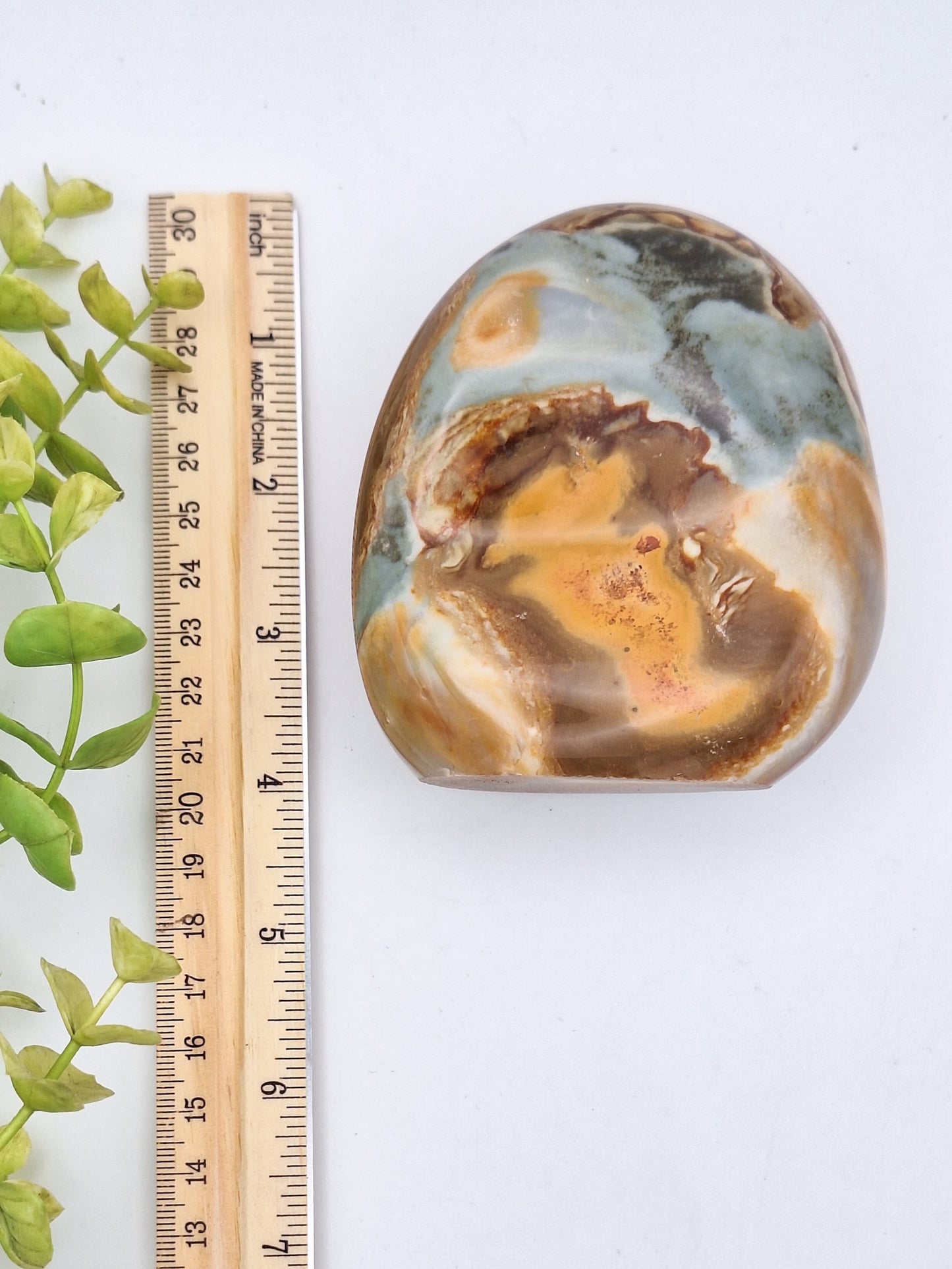 Polychrome Jasper Medium Free Form